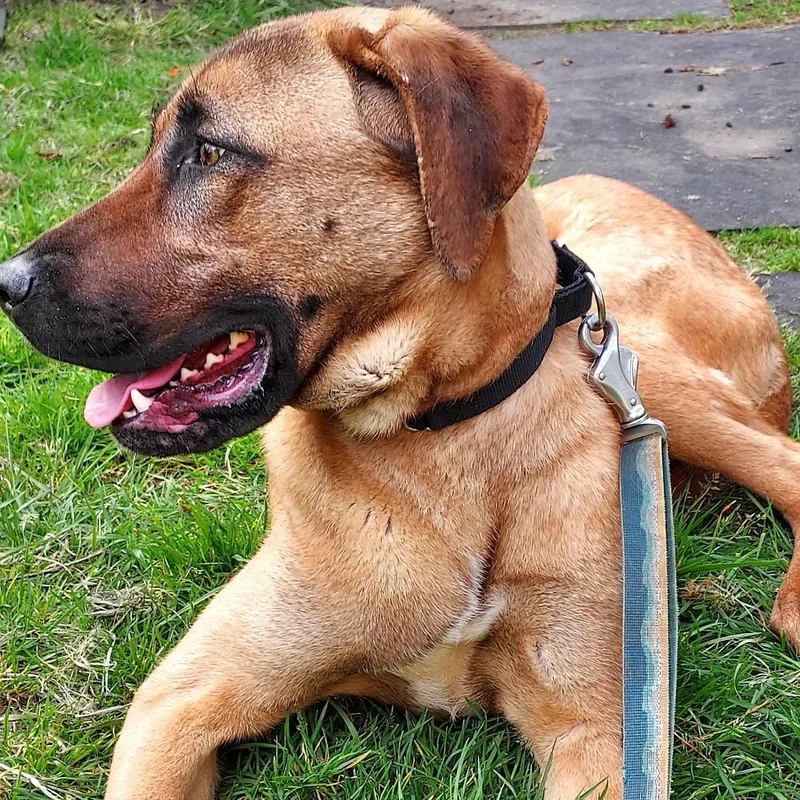 Princess Is  Very thumbnail 2