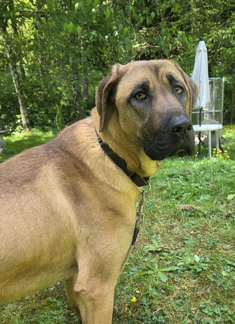 Princess Is  Very thumbnail 3