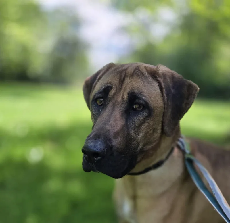 Princess Is  Very thumbnail 5