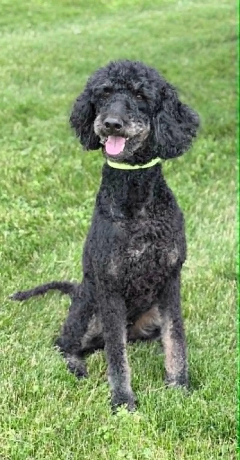 Kona