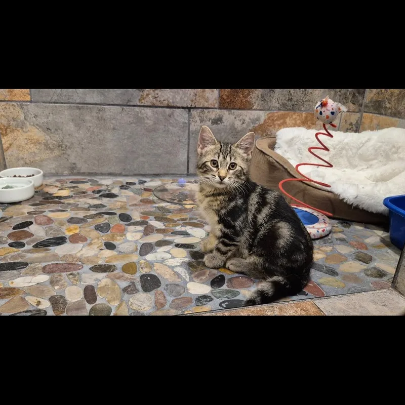 Tuffnut thumbnail 5