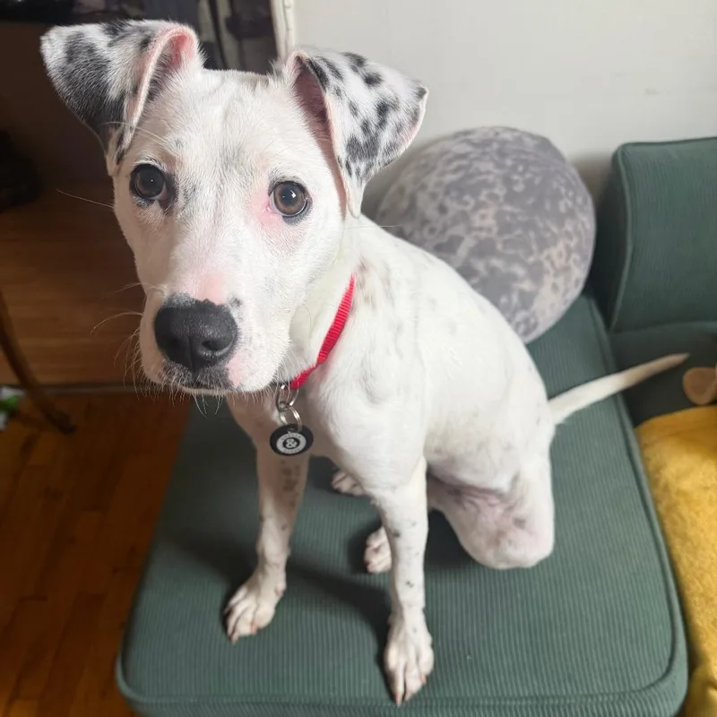 Princess thumbnail 5