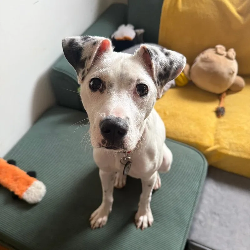 Princess thumbnail 6