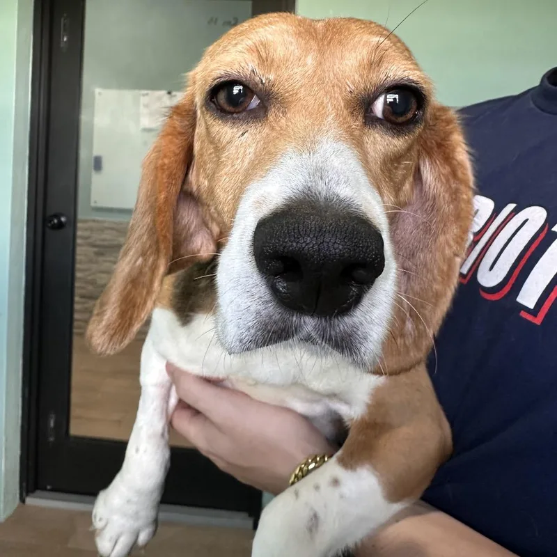 GabbyYE thumbnail 3