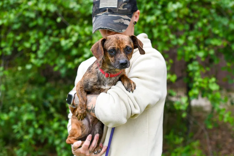 Tobi Girl thumbnail 2