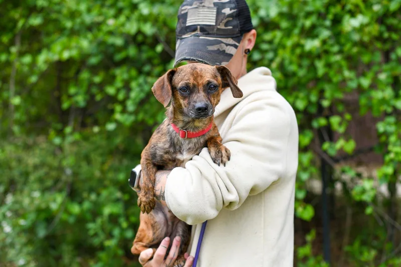 Tobi Girl thumbnail 3