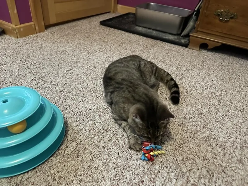 Princess thumbnail 2