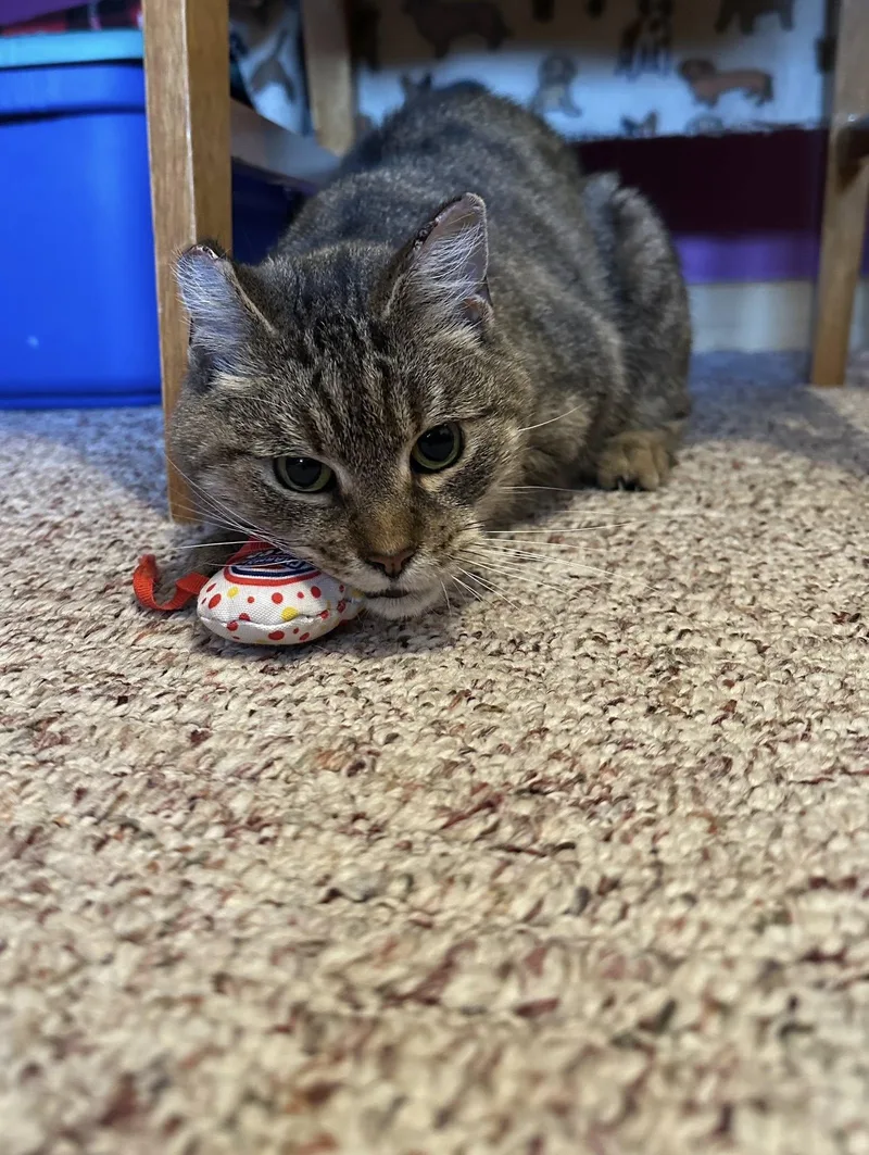 Princess thumbnail 4