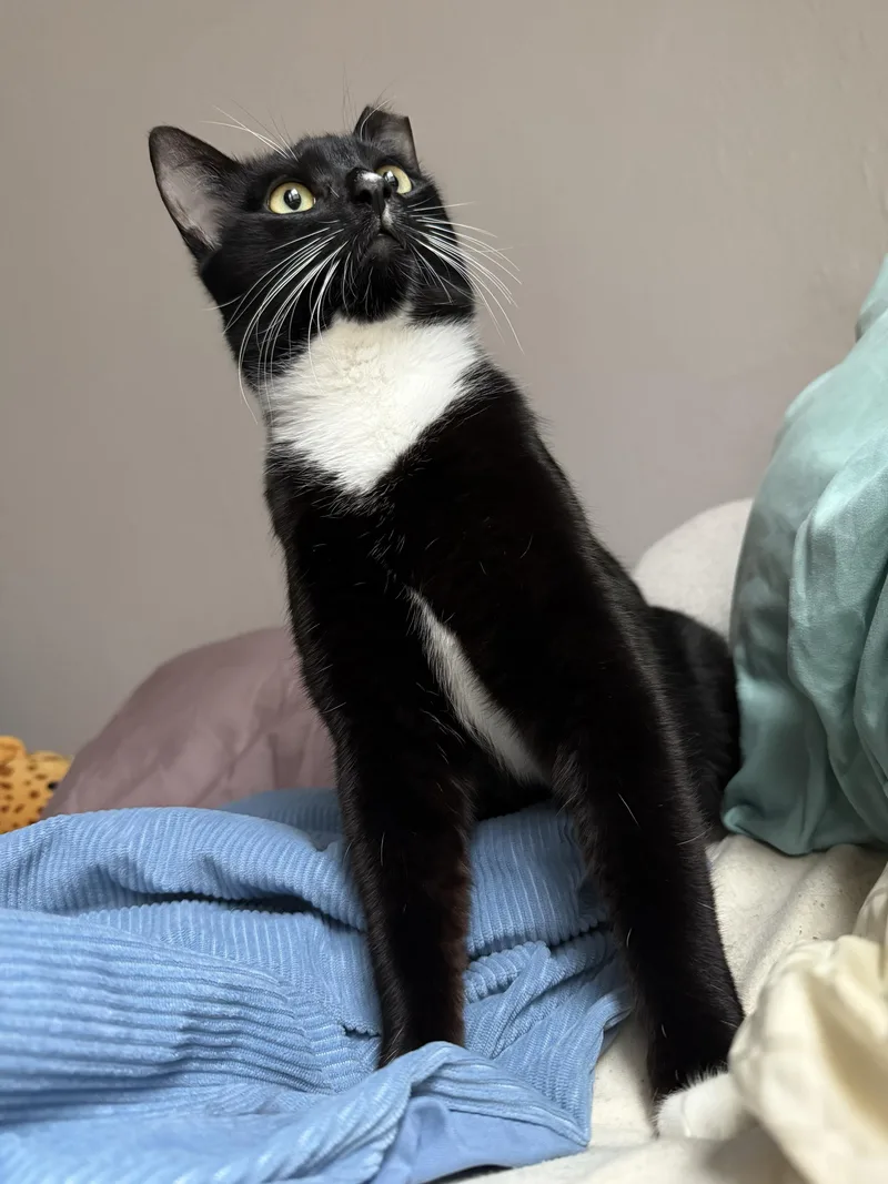 Furlough thumbnail 2