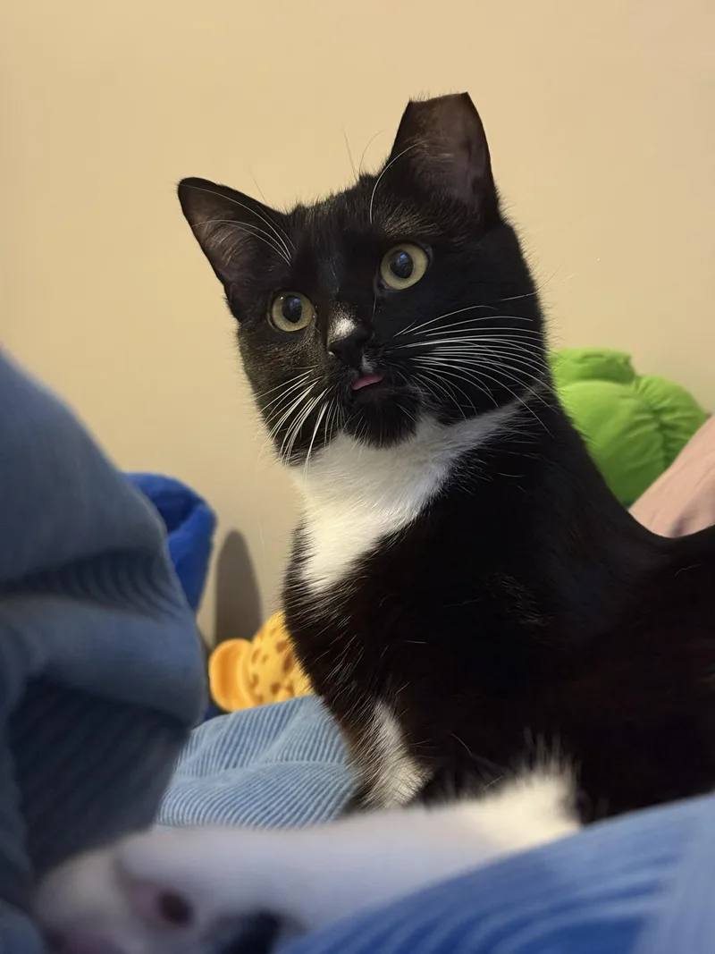 Furlough thumbnail 3