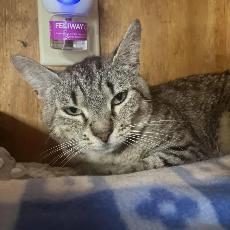 Catrick Swayze