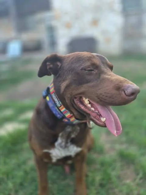 Kristoff thumbnail 2