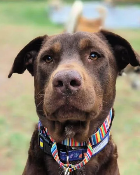 Kristoff thumbnail 3