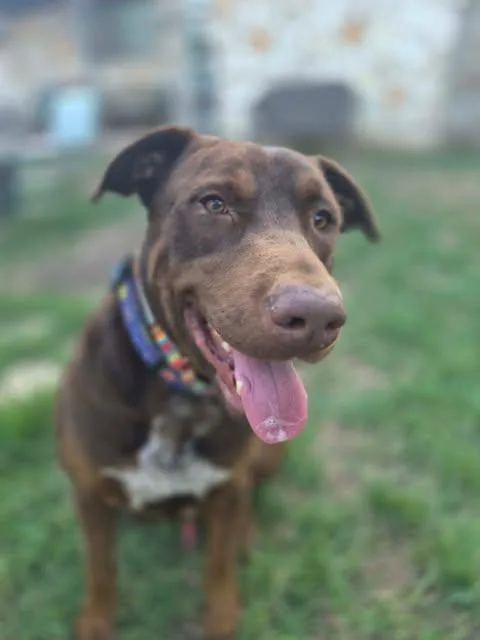 Kristoff thumbnail 5