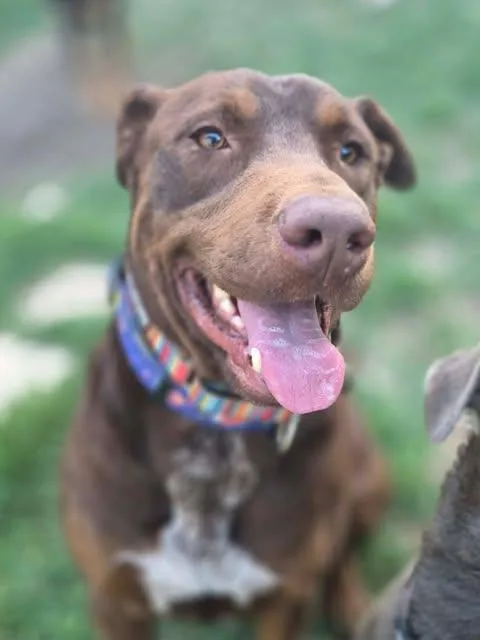 Kristoff thumbnail 6