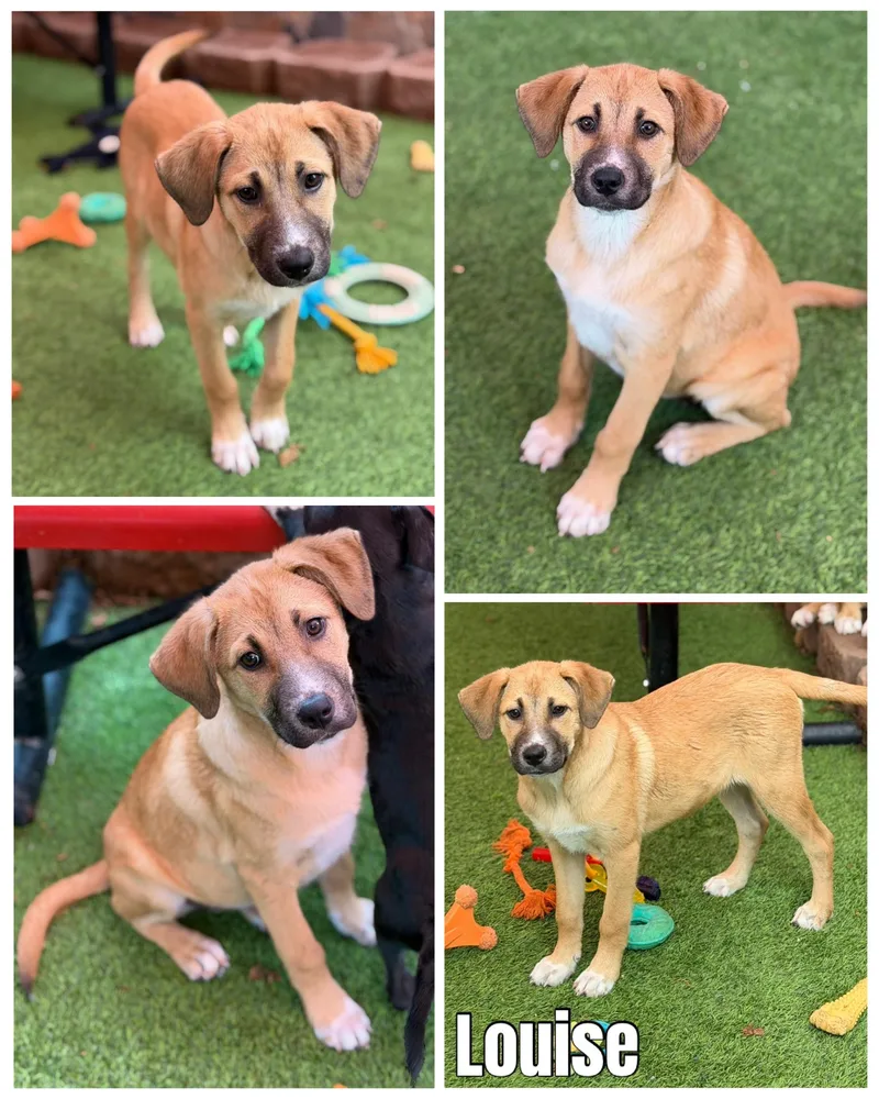 Thelma & Louise thumbnail 2