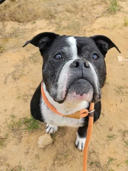 Carlotta thumbnail 2