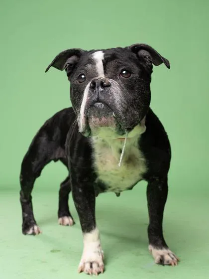 Carlotta thumbnail 3