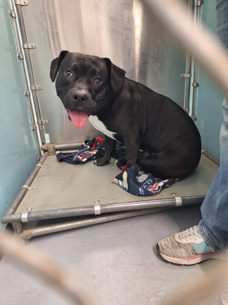 Guinness thumbnail 2