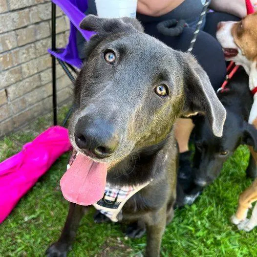 Mitchell thumbnail 2