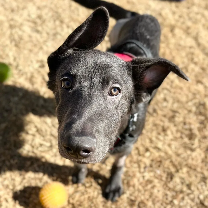 Mitchell thumbnail 3