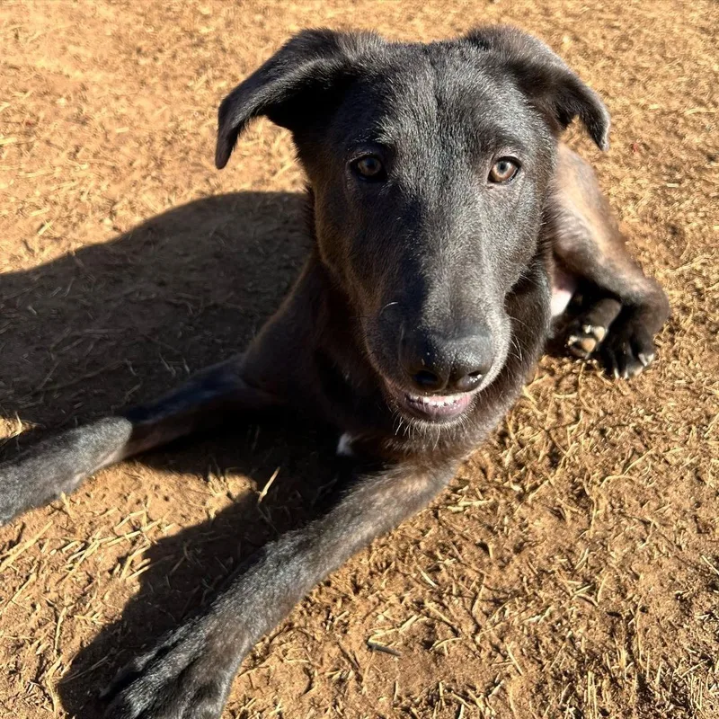 Mitchell thumbnail 4