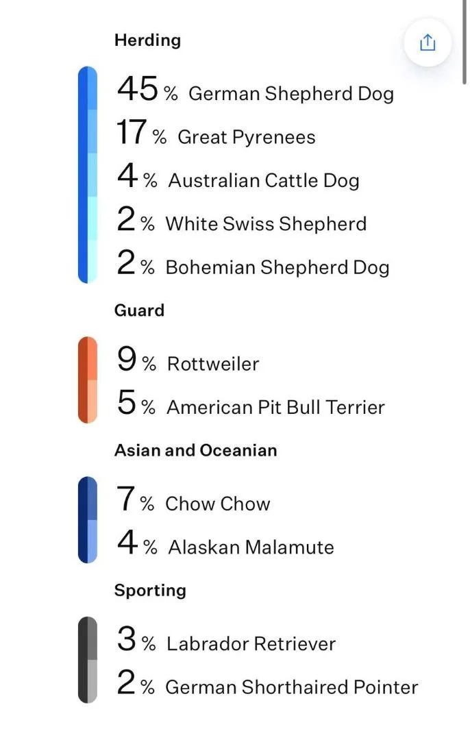 Mitchell thumbnail 5