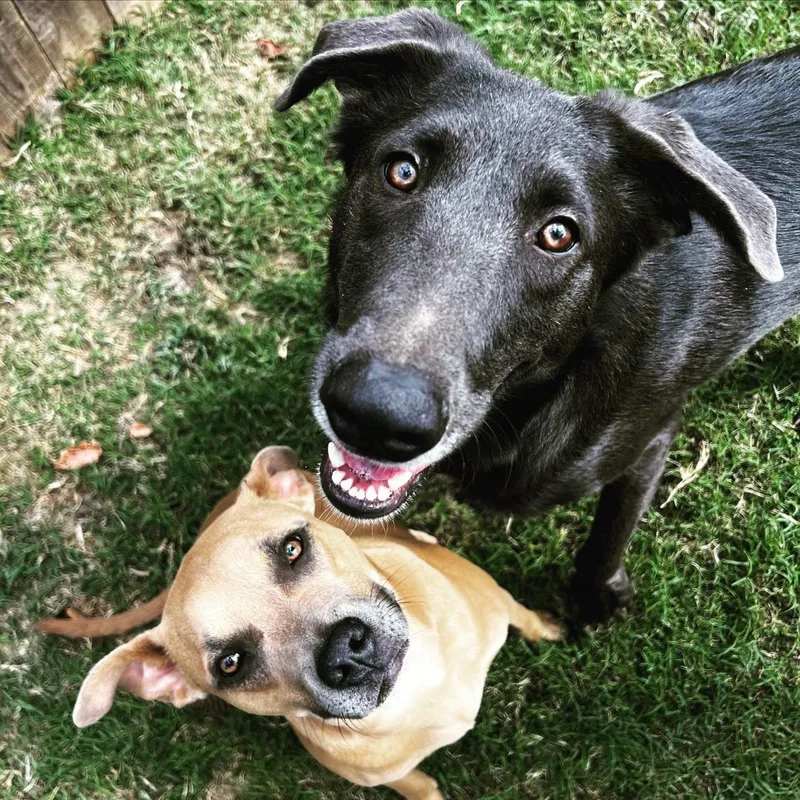 Mitchell thumbnail 6