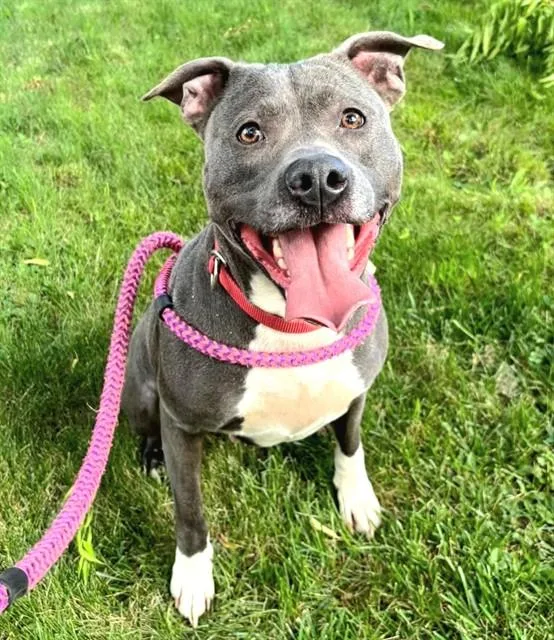 Annie Bananie