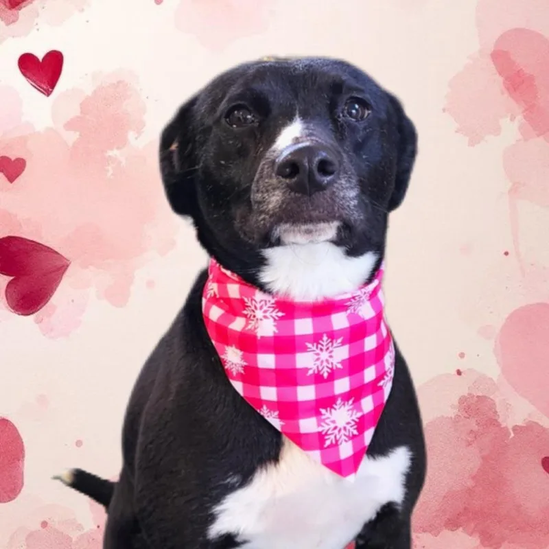 Phoebe Minroe thumbnail 2