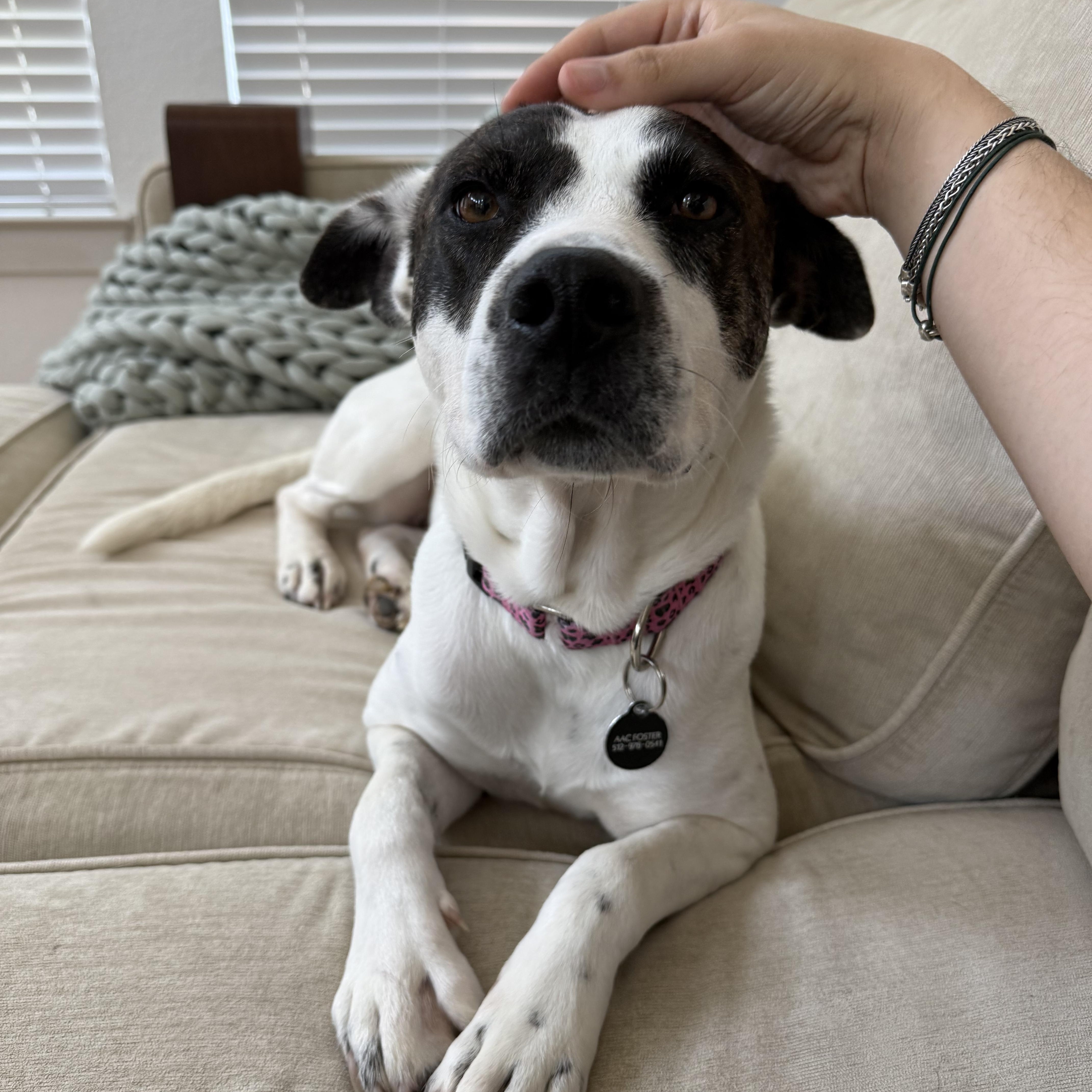 Juno