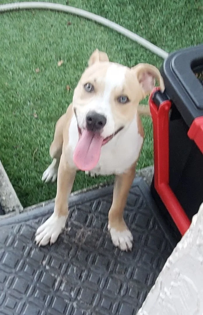 Gilbert ... Must Read