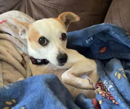 Francine thumbnail 2