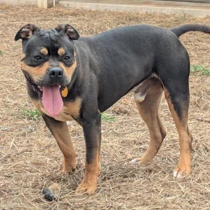Oscar