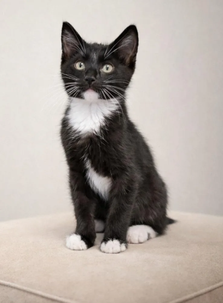 Dr. Pepper thumbnail 2