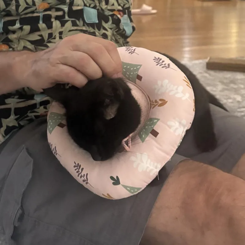 Peggy thumbnail 4