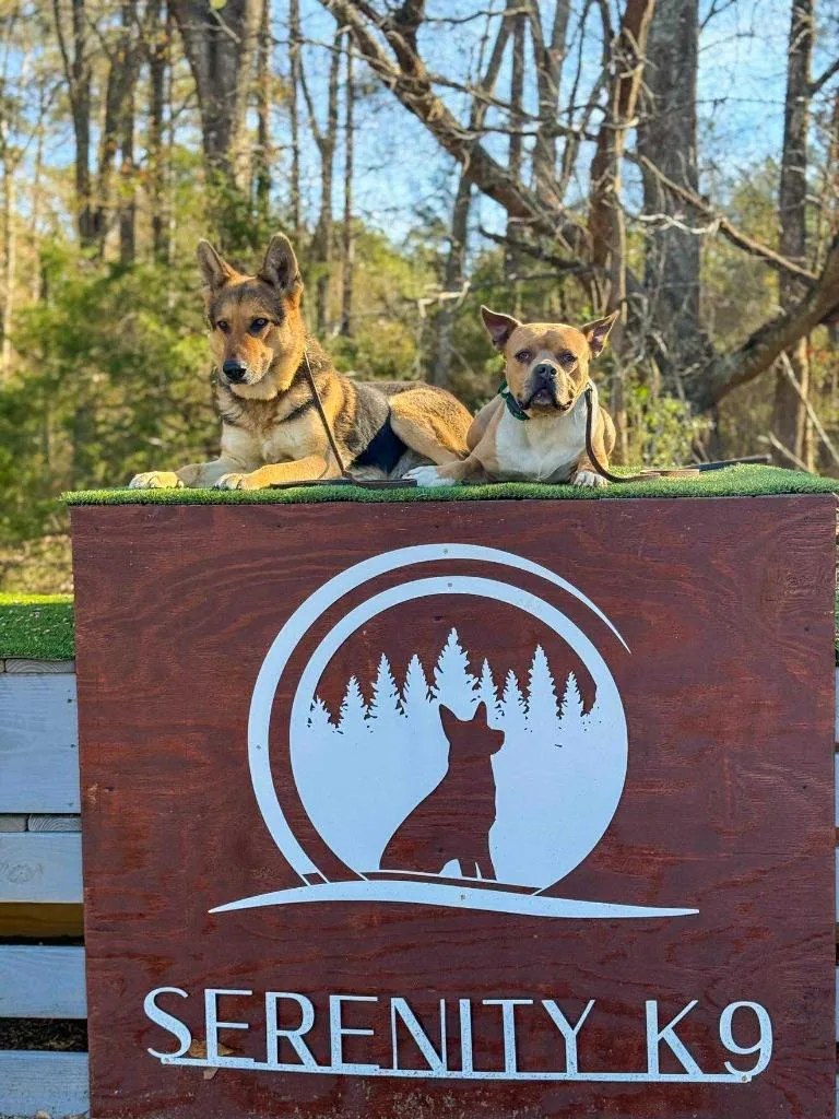 Hilly Aka Opal thumbnail 3