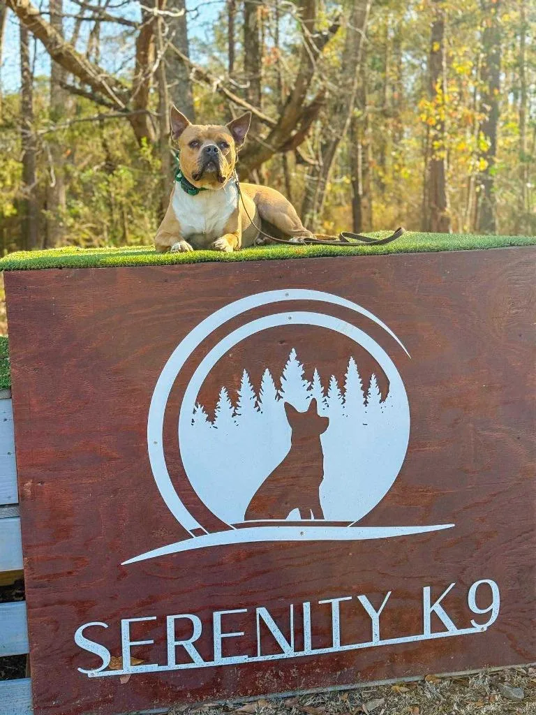 Hilly Aka Opal thumbnail 4