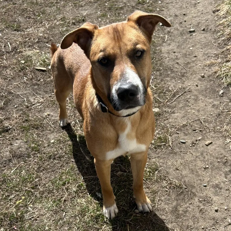 Charlotte thumbnail 2