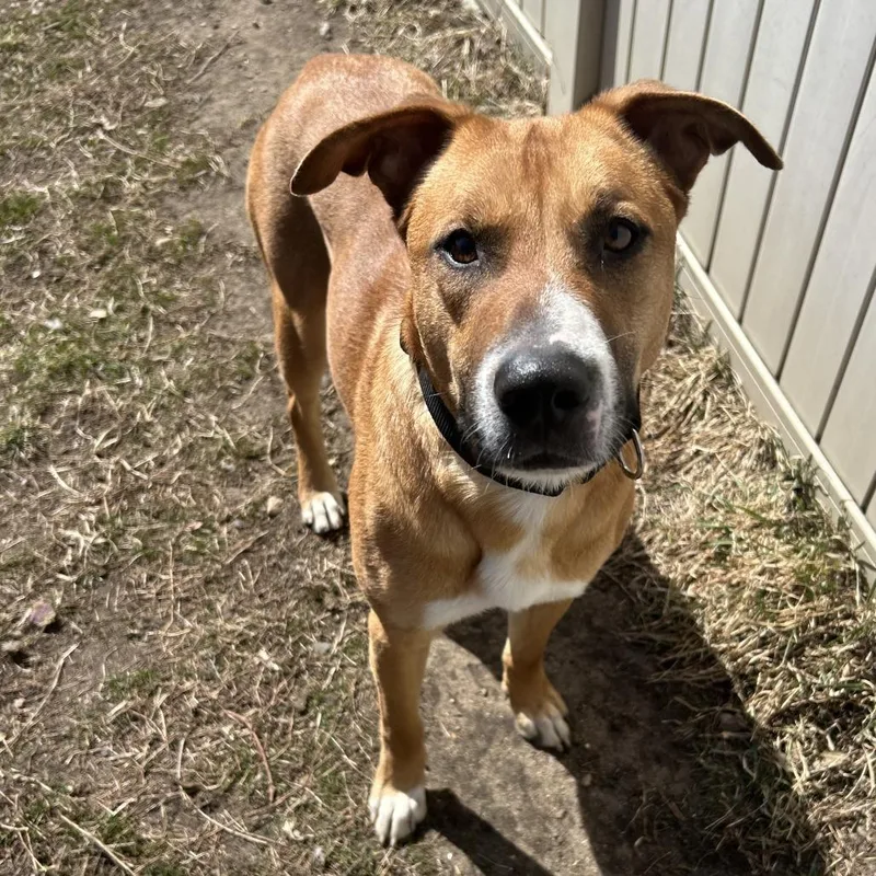 Charlotte thumbnail 3