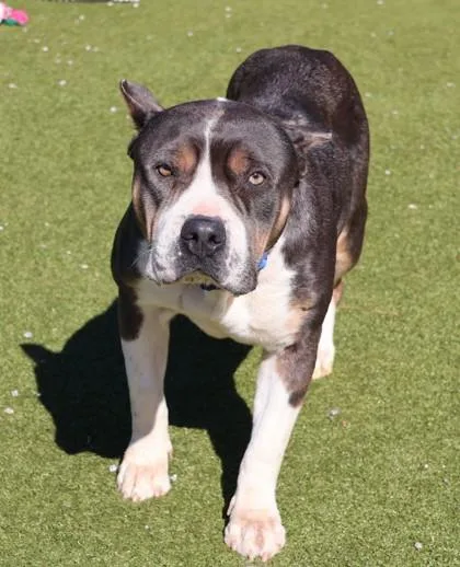 Tinker Bell thumbnail 2