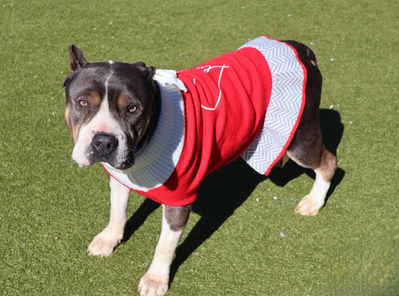 Tinker Bell thumbnail 3