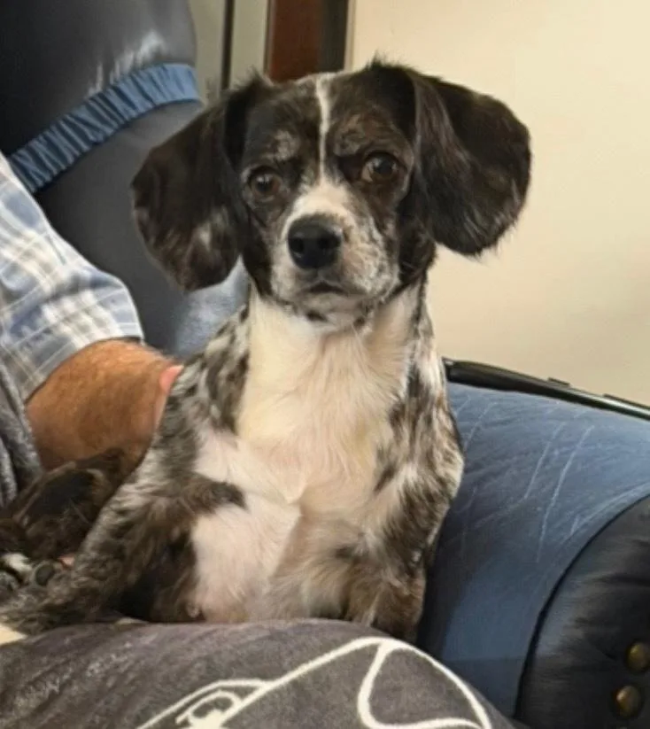 Minnie Doxie thumbnail 2
