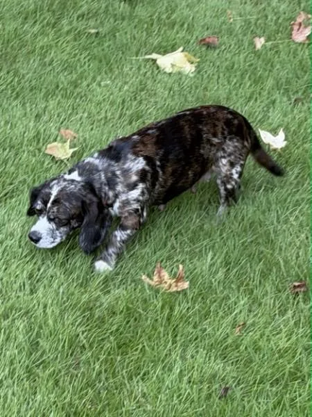 Minnie Doxie thumbnail 3