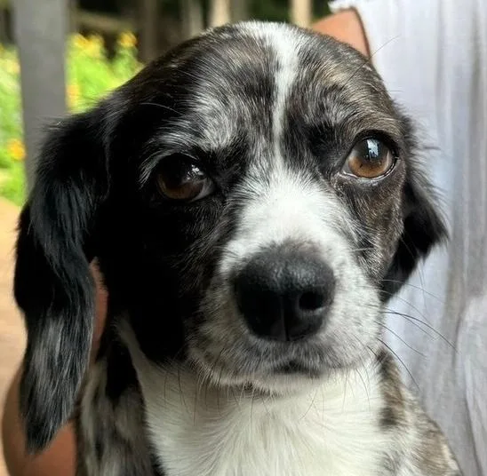 Minnie Doxie thumbnail 4