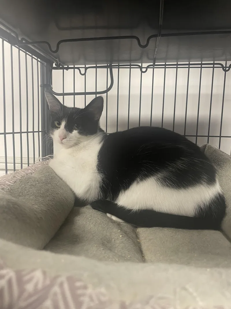 Margaret thumbnail 5