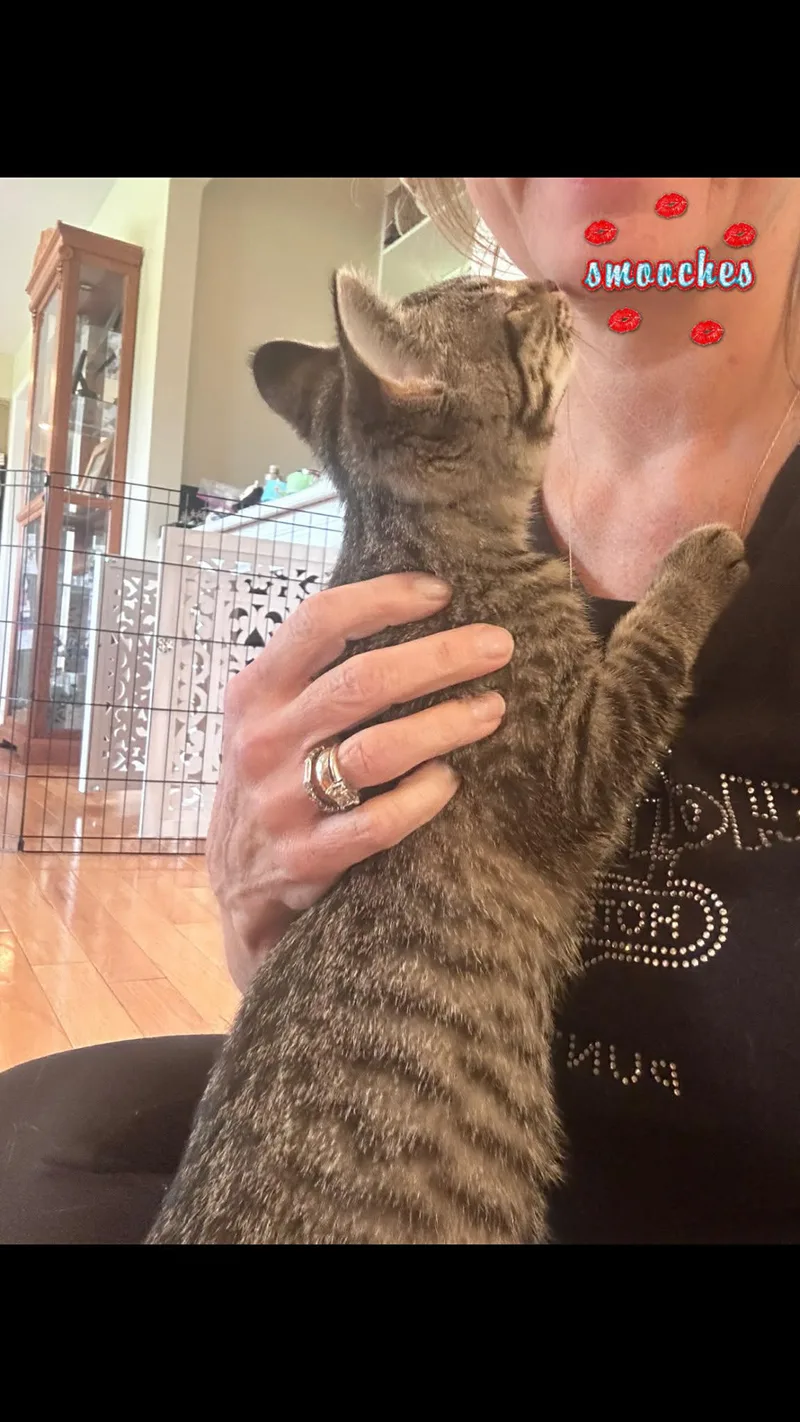 Sophie thumbnail 3