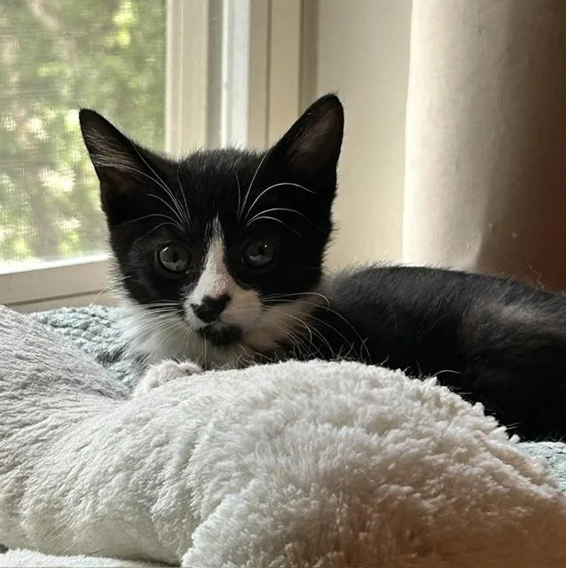 Sam