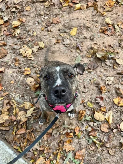 Trinity  A thumbnail 2