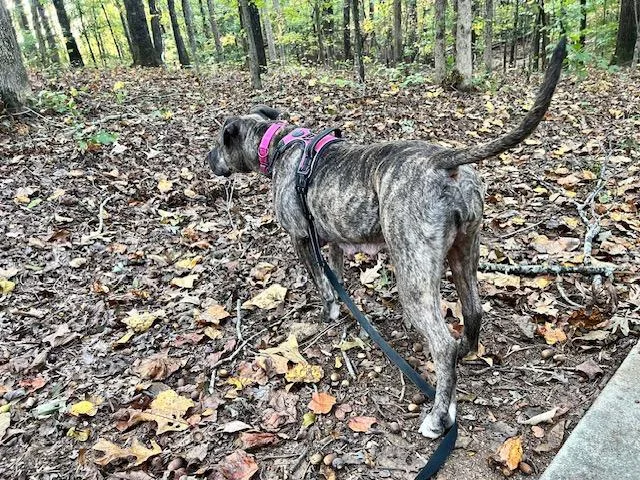 Trinity  A thumbnail 3